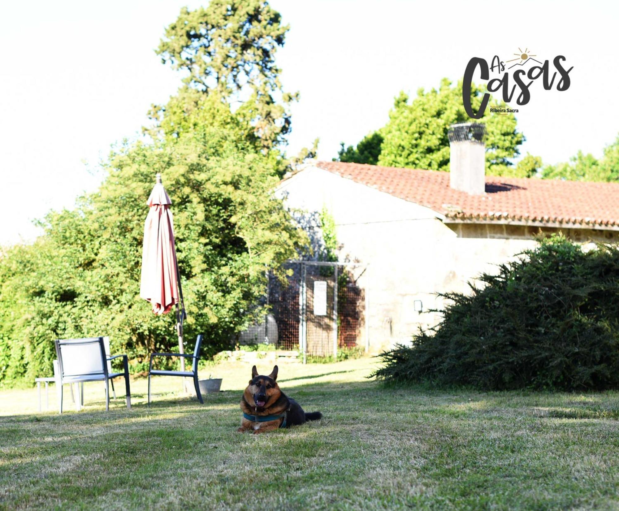 As Casas Ribeira Sacra Ξενοδοχείο Chantada Εξωτερικό φωτογραφία